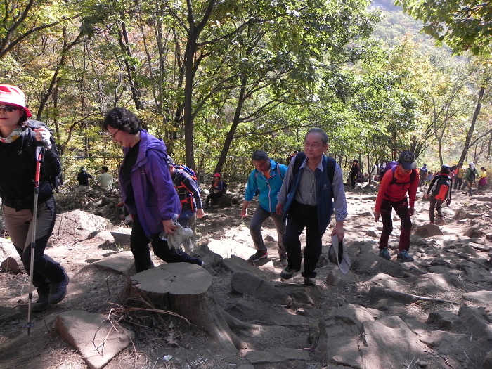 e968caedd5f0d900808ef481634e2aac.jpg